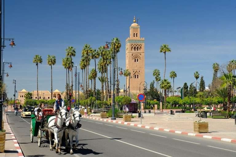 Koutoubia Mosque and palm-lined avenue in Marrakech