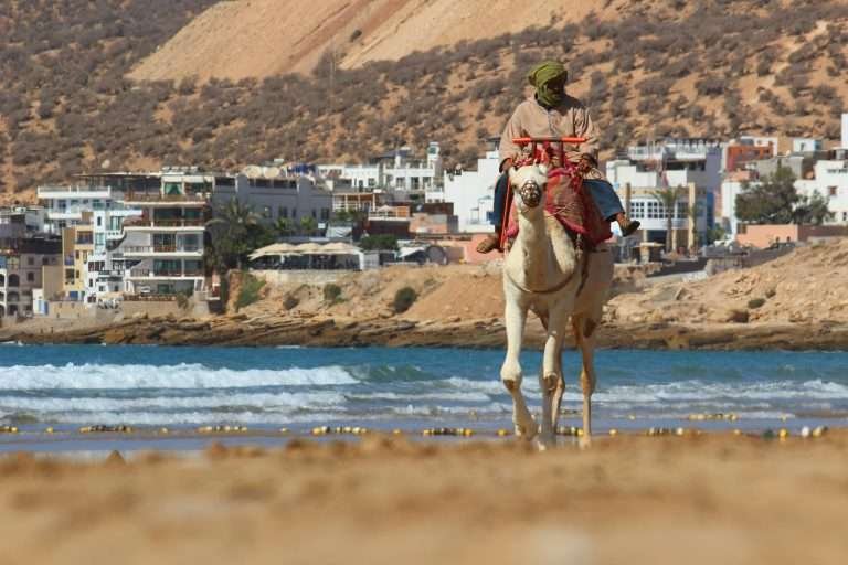 Man on a camel at Agadir beach in Morocc