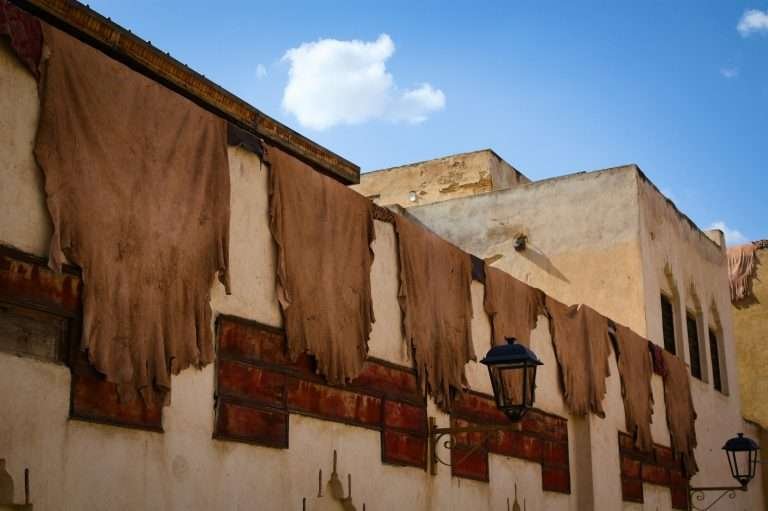 Tannery and leather drying in the sun in the Fes medina