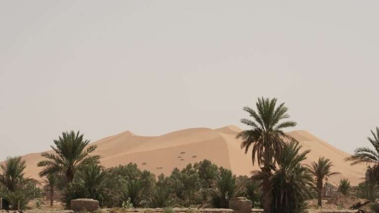 Merzouga sand dune in Sahara Desert with palm tree oasis