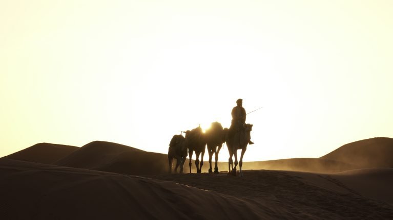 Sahara berber man crossing dunes by camel at sunrise