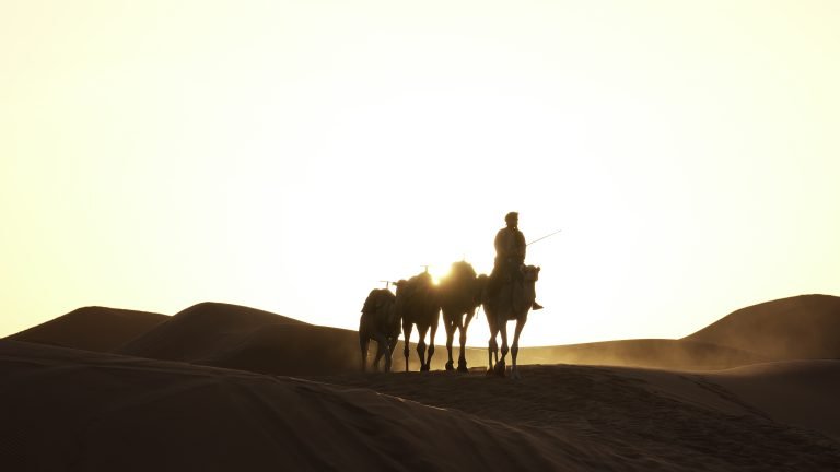 Sahara berber man crossing dunes by camel at sunrise
