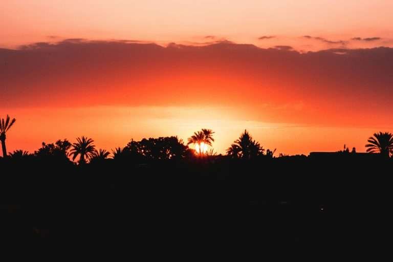 Sunset silhouettes and palm trees in Morocco