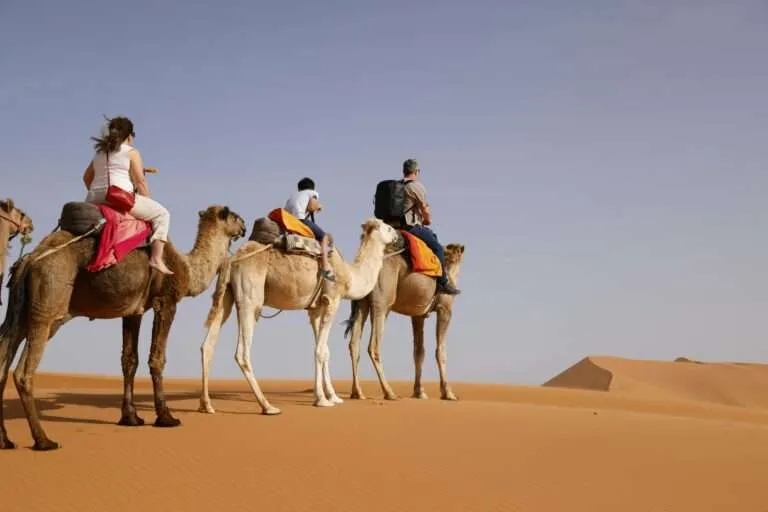 Camel riders on the Sahara dunes in Morocco
